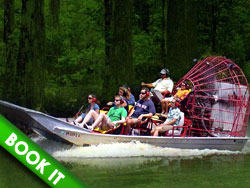 New Orleans Swamp Tour, Swamp Tour New Orleans