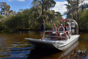 december swamp tour