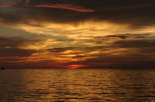 Witness beautiful sunsets over Louisiana's swamps with Airboat Adventures.