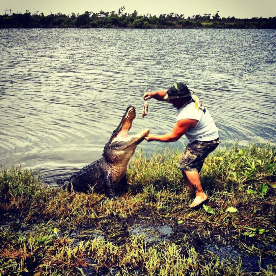 Enjoy a wildlife tour through Louisiana's beautiful swamps.