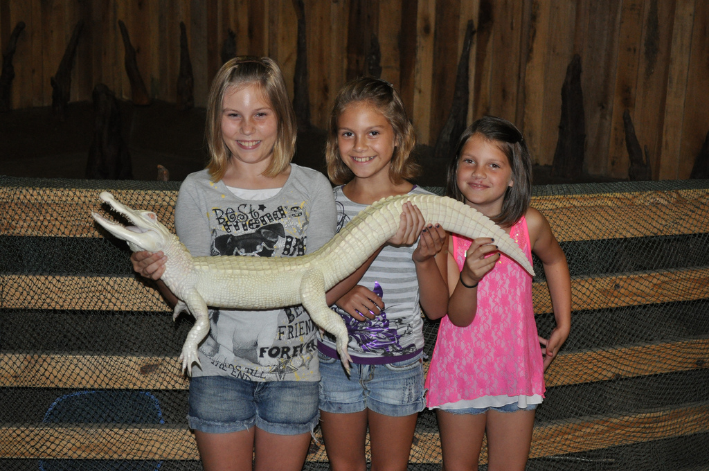 Swamp Tours Louisiana