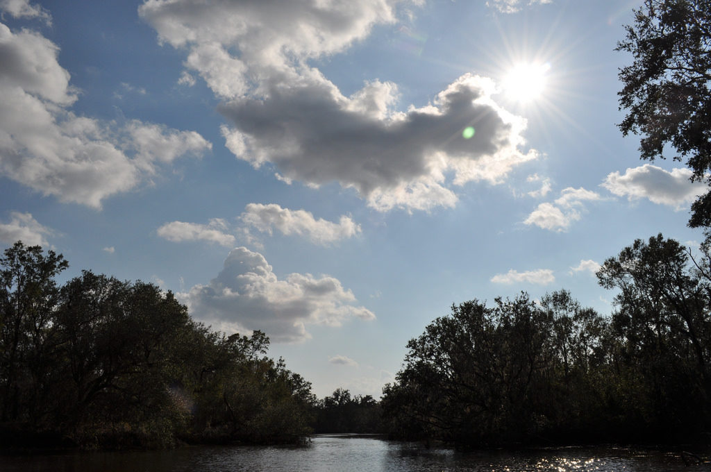 alligator tour near new orleans