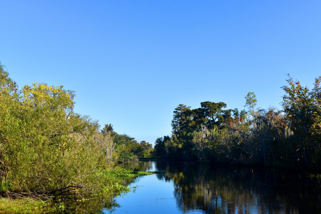 airboat rides new orleans